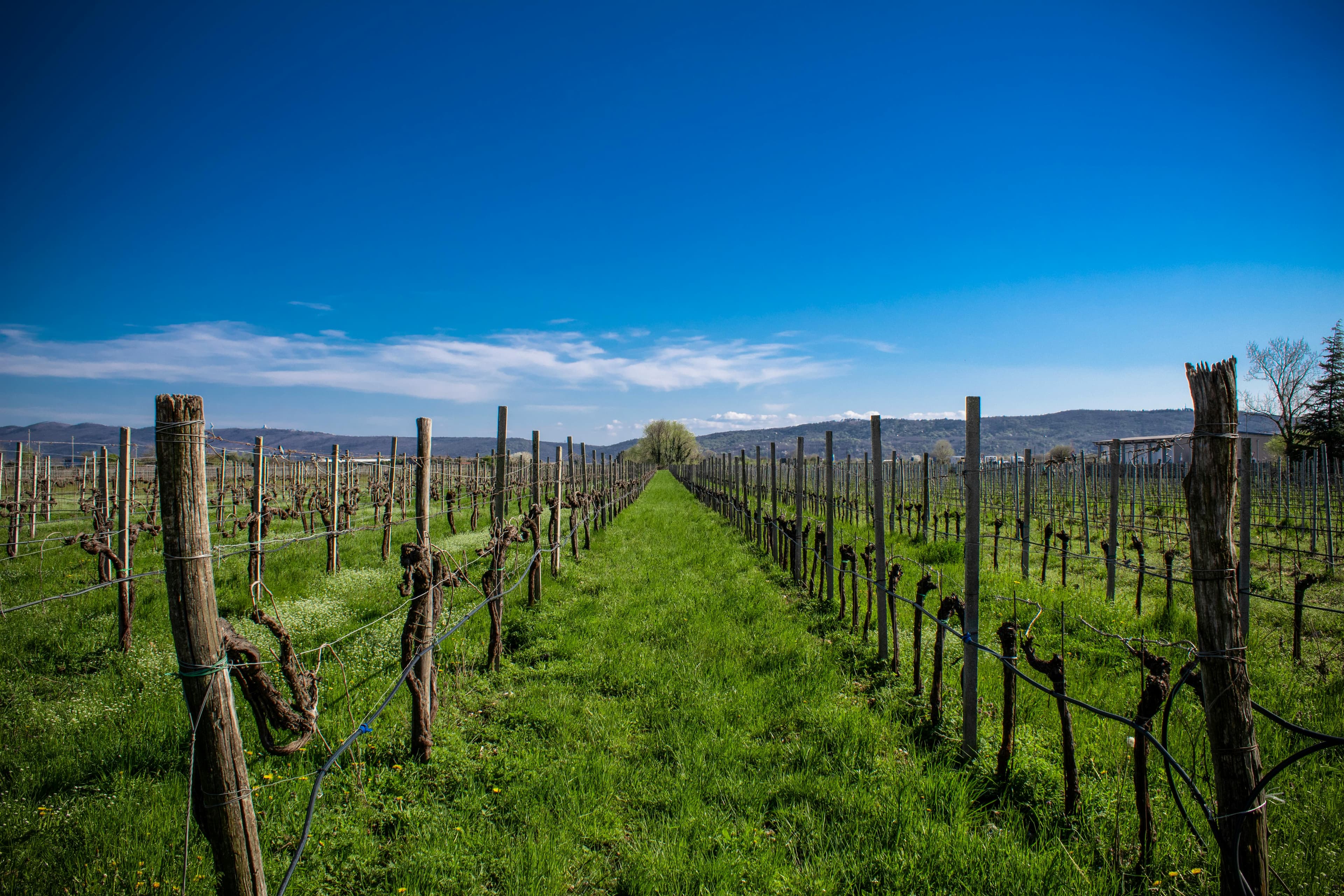 Abstract spiral circles